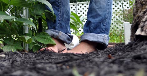 Turns Out Gardening While Barefoot Has Amazing Health Benefits